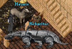 KayenHayate(т̔n)Schpeltor(bswamp dragon)